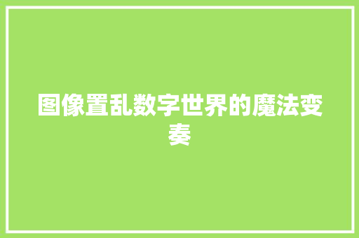 图像置乱数字世界的魔法变奏