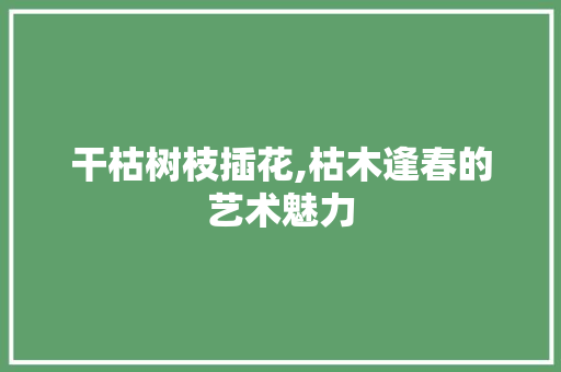 干枯树枝插花,枯木逢春的艺术魅力