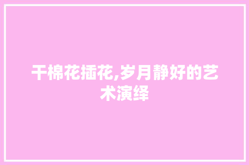 干棉花插花,岁月静好的艺术演绎