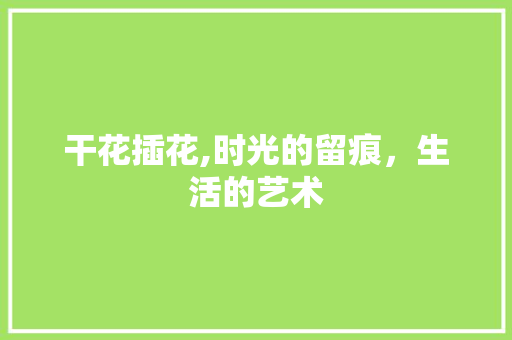 干花插花,时光的留痕，生活的艺术