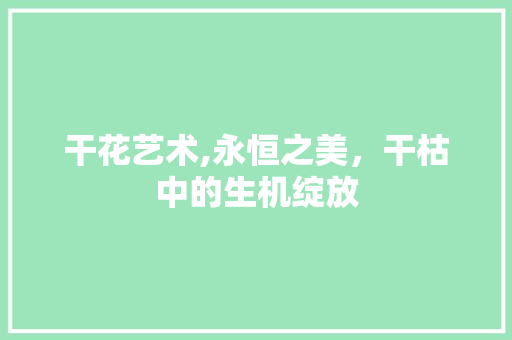 干花艺术,永恒之美，干枯中的生机绽放
