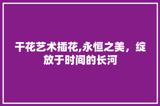 干花艺术插花,永恒之美，绽放于时间的长河