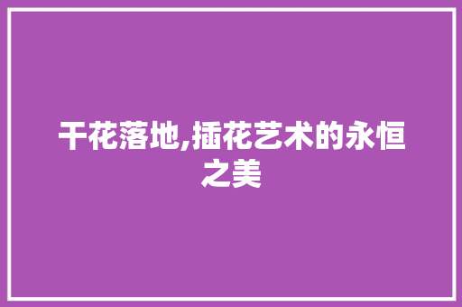 干花落地,插花艺术的永恒之美