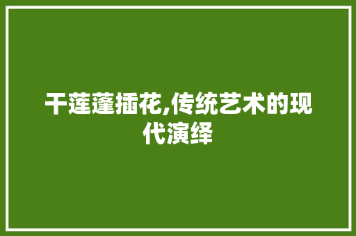 干莲蓬插花,传统艺术的现代演绎