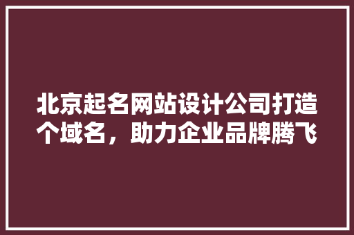 北京起名网站设计公司打造个域名，助力企业品牌腾飞