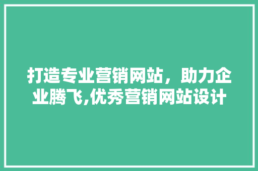 打造专业营销网站,助力企业腾飞,优秀营销网站设计制作公司