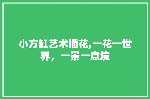 小方缸艺术插花,一花一世界，一景一意境