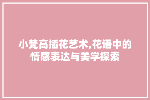 小梵高插花艺术,花语中的情感表达与美学探索