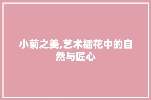 小菊之美,艺术插花中的自然与匠心
