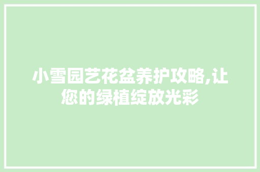 小雪园艺花盆养护攻略,让您的绿植绽放光彩
