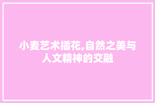 小麦艺术插花,自然之美与人文精神的交融