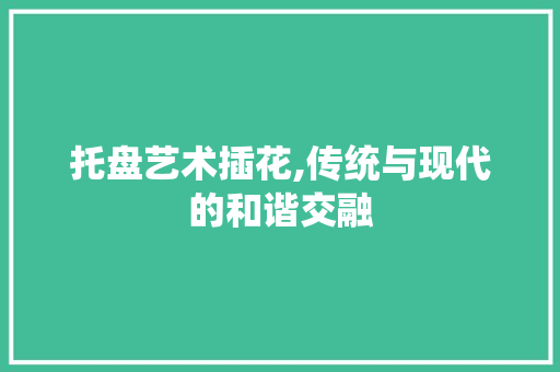 托盘艺术插花,传统与现代的和谐交融