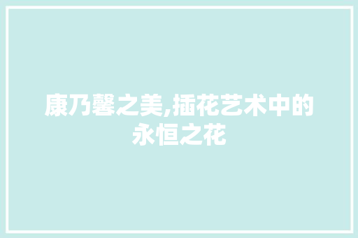 康乃馨之美,插花艺术中的永恒之花