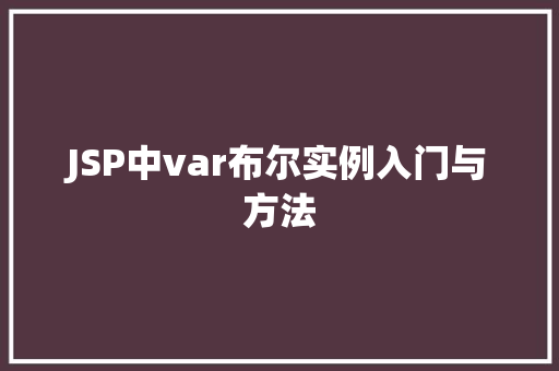 JSP中var布尔实例入门与方法