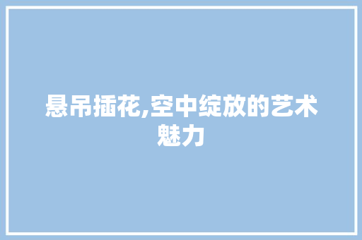 悬吊插花,空中绽放的艺术魅力