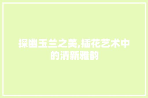 探幽玉兰之美,插花艺术中的清新雅韵