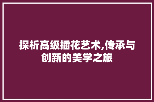 探析高级插花艺术,传承与创新的美学之旅