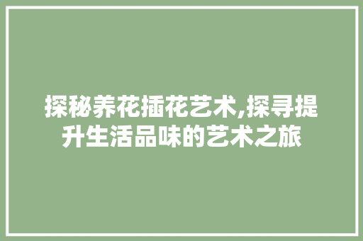 探秘养花插花艺术,探寻提升生活品味的艺术之旅