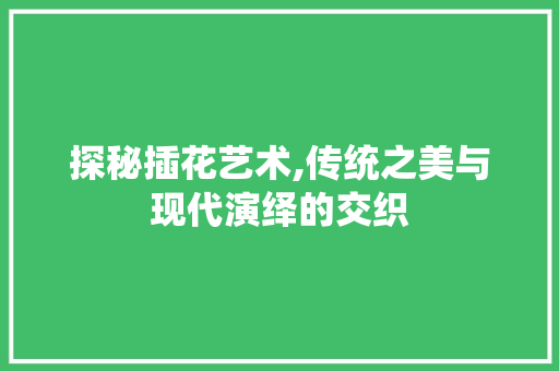 探秘插花艺术,传统之美与现代演绎的交织
