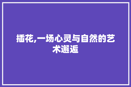 插花,一场心灵与自然的艺术邂逅