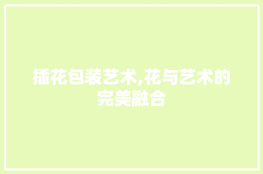 插花包装艺术,花与艺术的完美融合