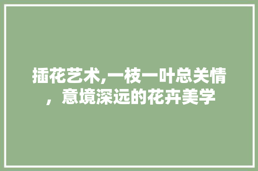 插花艺术,一枝一叶总关情，意境深远的花卉美学