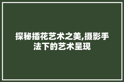 探秘插花艺术之美,摄影手法下的艺术呈现