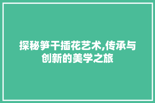 探秘笋干插花艺术,传承与创新的美学之旅