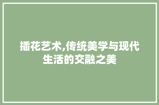 插花艺术,传统美学与现代生活的交融之美