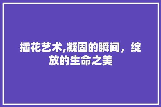 插花艺术,凝固的瞬间，绽放的生命之美