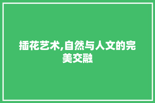 插花艺术,自然与人文的完美交融
