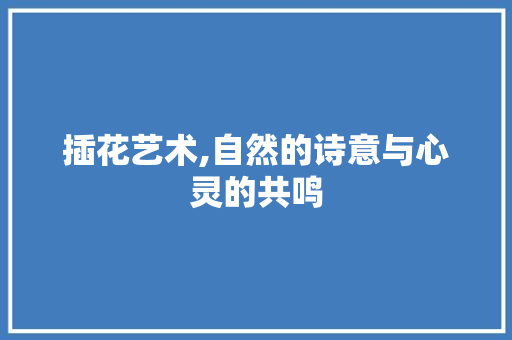 插花艺术,自然的诗意与心灵的共鸣