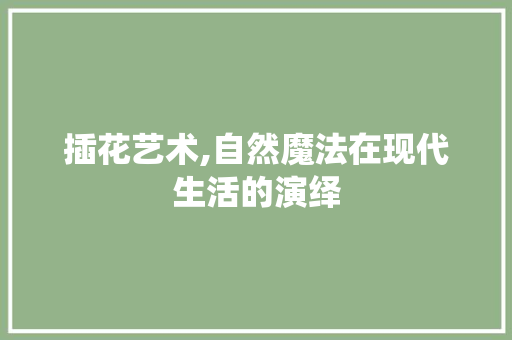 插花艺术,自然魔法在现代生活的演绎