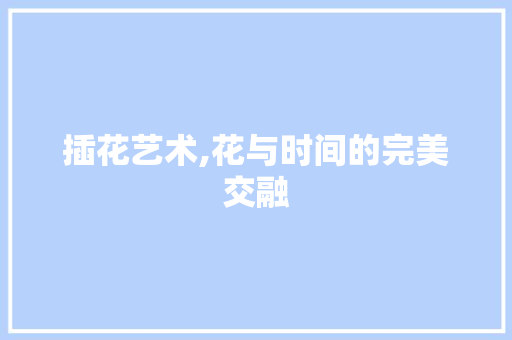 插花艺术,花与时间的完美交融