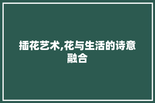 插花艺术,花与生活的诗意融合