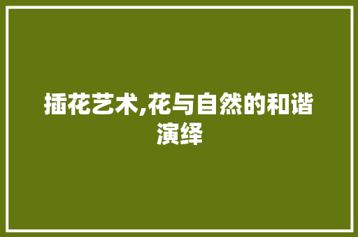 插花艺术,花与自然的和谐演绎