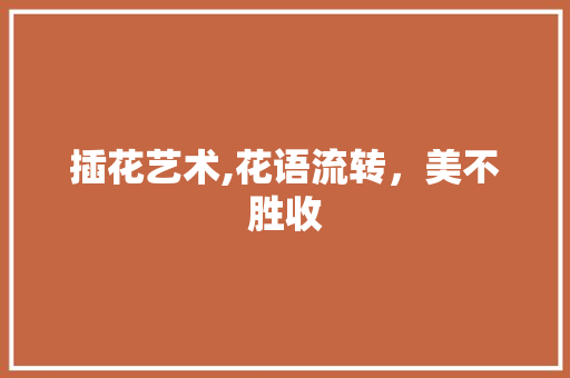 插花艺术,花语流转，美不胜收