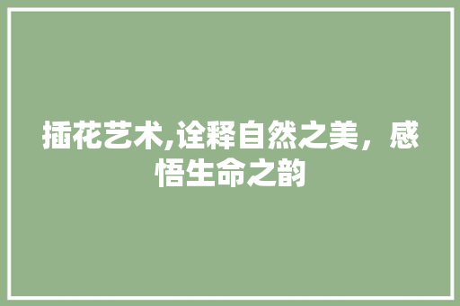 插花艺术,诠释自然之美，感悟生命之韵