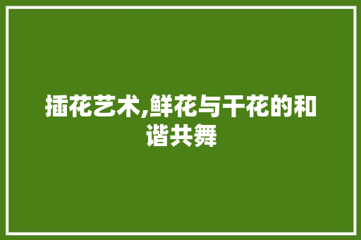 插花艺术,鲜花与干花的和谐共舞