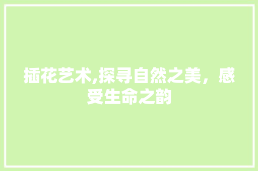 插花艺术,探寻自然之美，感受生命之韵