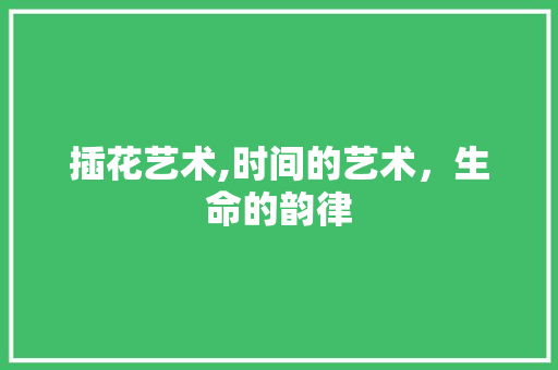 插花艺术,时间的艺术，生命的韵律