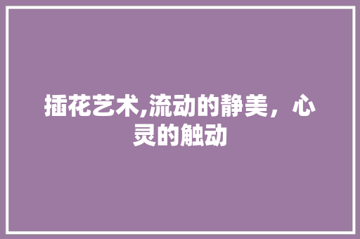 插花艺术,流动的静美，心灵的触动