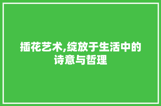 插花艺术,绽放于生活中的诗意与哲理