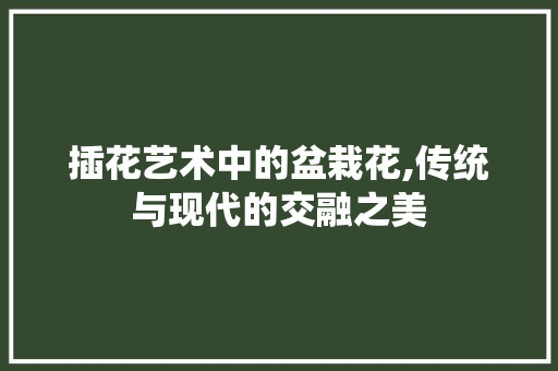 插花艺术中的盆栽花,传统与现代的交融之美