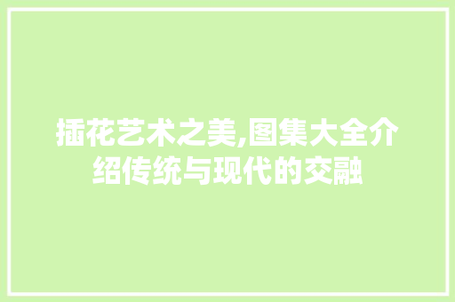 插花艺术之美,图集大全介绍传统与现代的交融