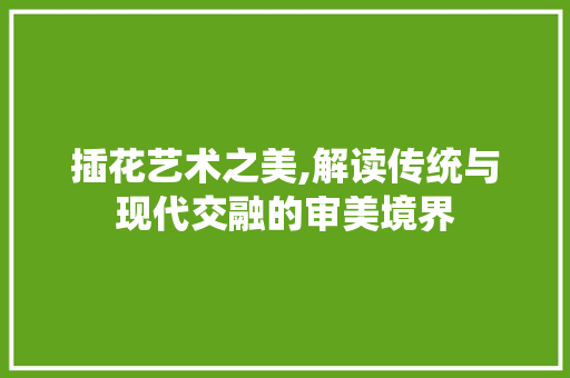 插花艺术之美,解读传统与现代交融的审美境界