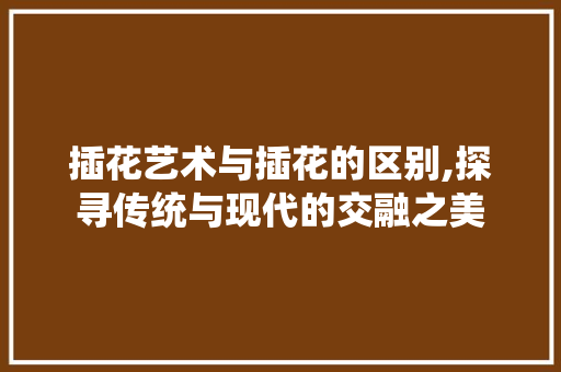 插花艺术与插花的区别,探寻传统与现代的交融之美