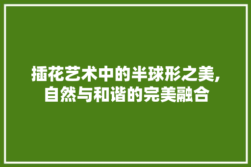 插花艺术中的半球形之美,自然与和谐的完美融合