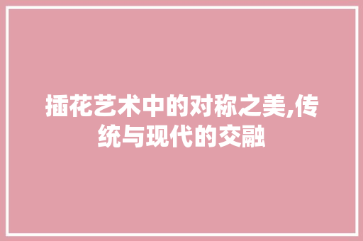 插花艺术中的对称之美,传统与现代的交融