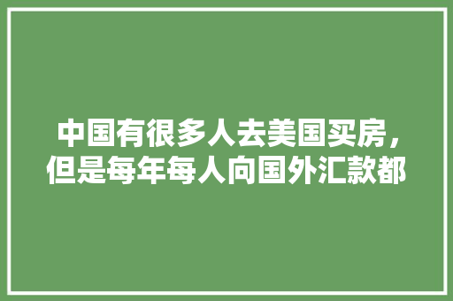 万年插花艺术,千年传承，花间岁月